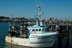 marques & feux bateaux